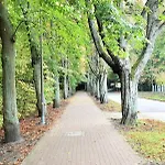 Apartment Basesopot