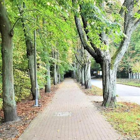 Apartament Basesopot